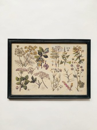 Bilde tørkede blomster